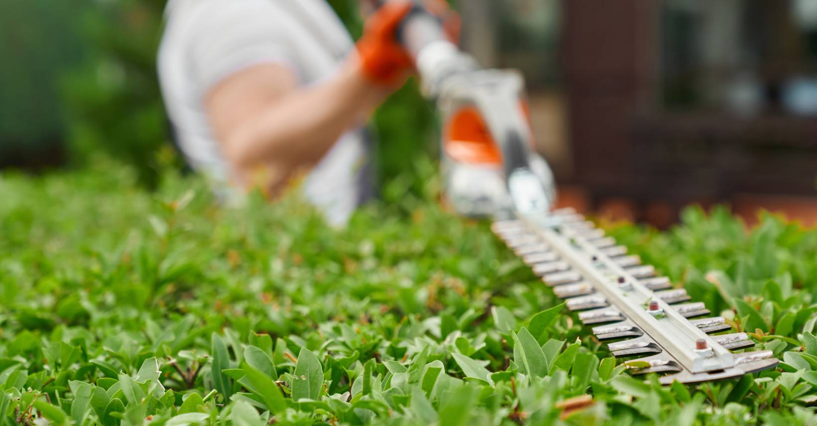  garden maintenance Brisbane