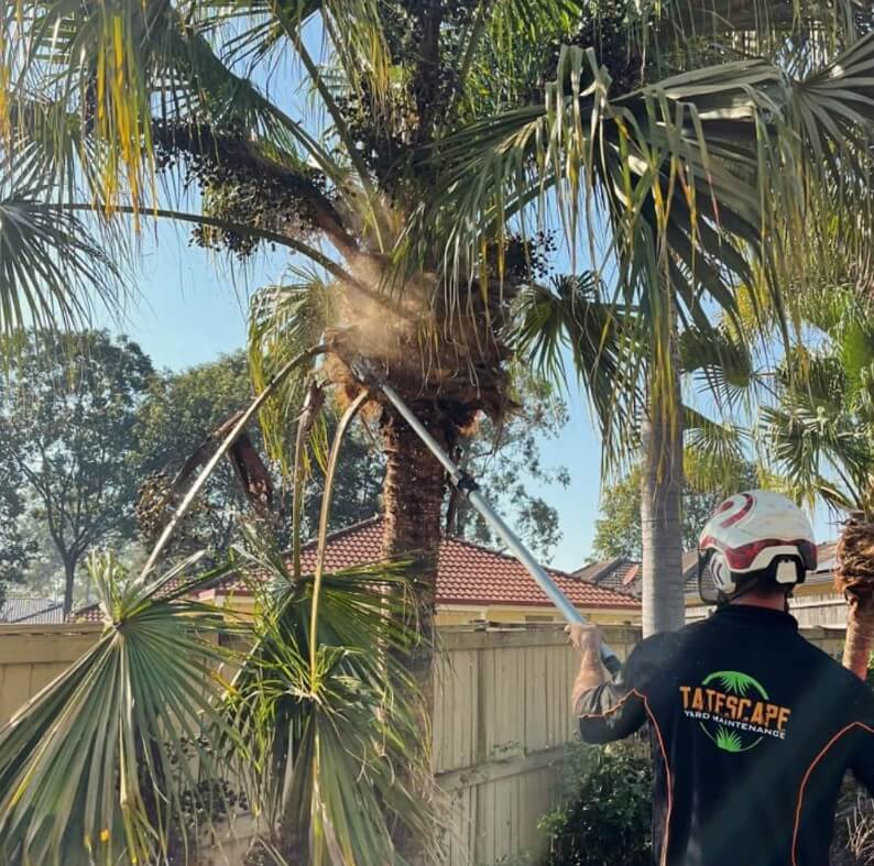 Arboriculture 2