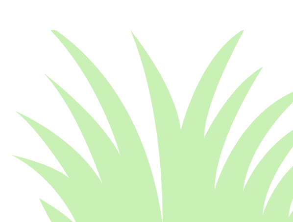 Green Grass