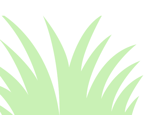 Green Grass