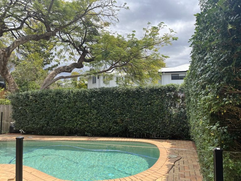 Hedges And Shrubs 5