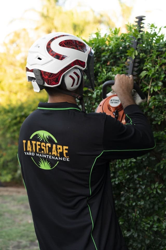 Hedges And Shrubs tree removals Brisbane