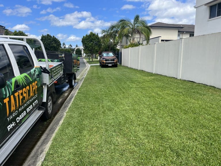 Mowing And Edging 1