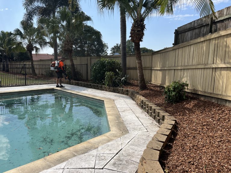 Yard Maintenance 3