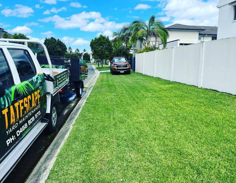 Yard Maintenance 3