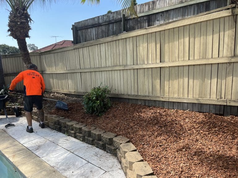 Yard Maintenance 5