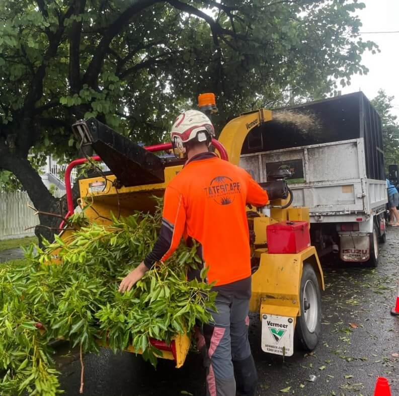 Tatescape Wood Chipper Operation