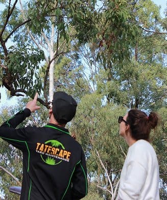 Arboriculture