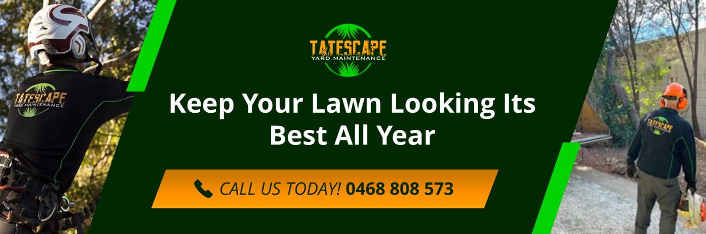 Keep Your Lawn Looking Its Best All Year lawn mowing in Forest Lake