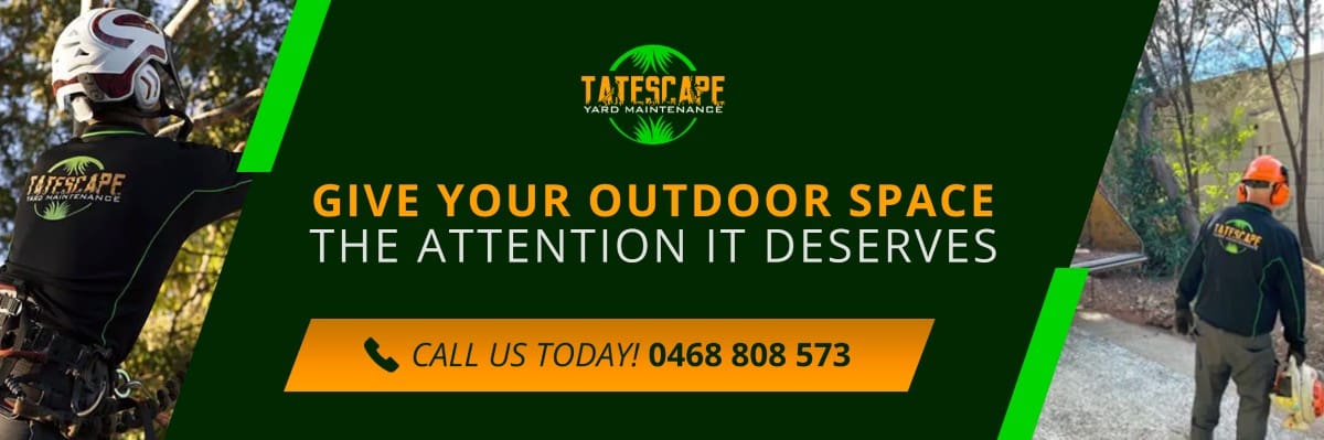 Give Your Outdoor Space the Attention It Deserves Yard Maintenance Brisbane