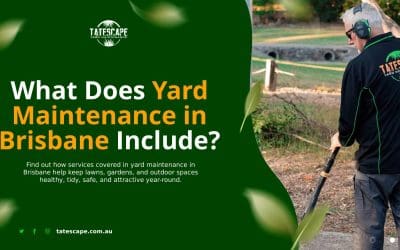 What Does Yard Maintenance in Brisbane Include?