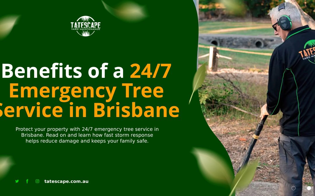 Benefits of a 24/7 Emergency Tree Service in Brisbane
