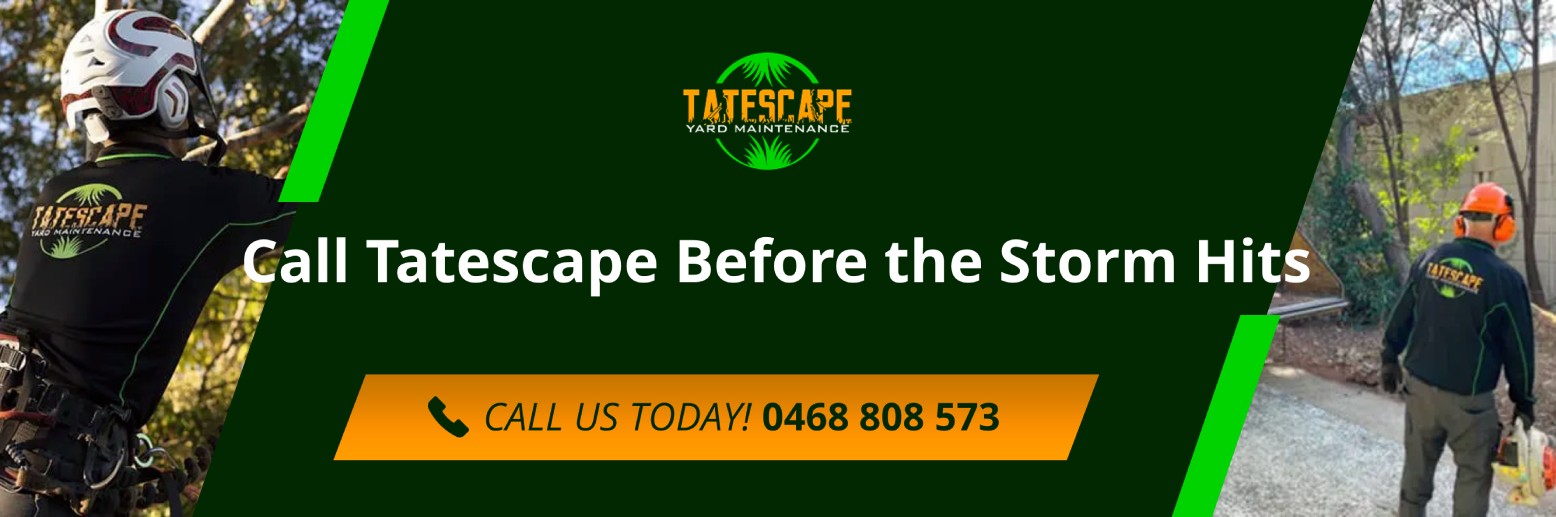 Call Tatescape Before The Storm Hits Call Tatescape Before The Storm Hits