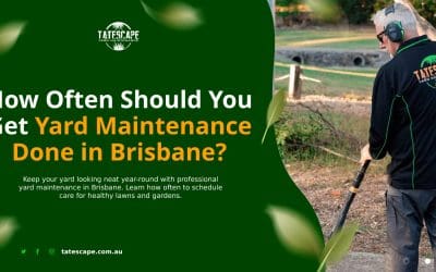 How Often Should You Get Yard Maintenance Done in Brisbane?