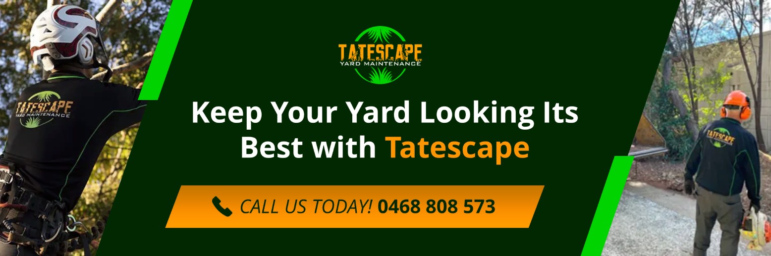 Keep Your Yard Looking Its Best With Tatescape Keep Your Yard Looking Its Best With Tatescape