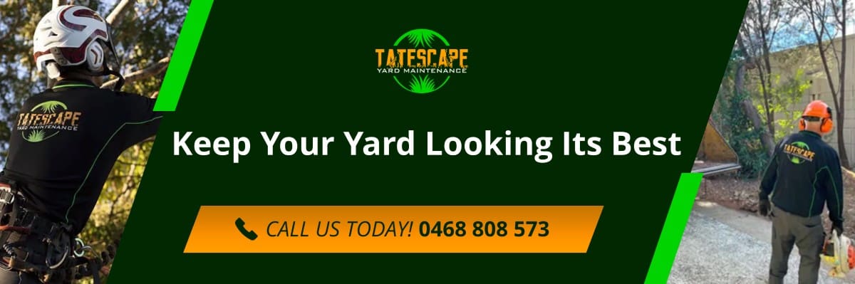 Keep Your Yard Looking Its Best Keep Your Yard Looking Its Best
