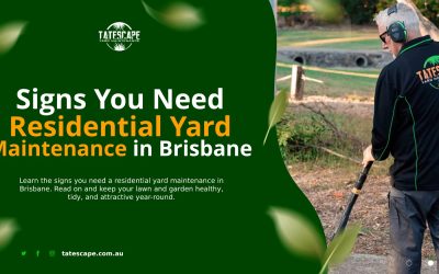 Signs You Need Residential Yard Maintenance in Brisbane