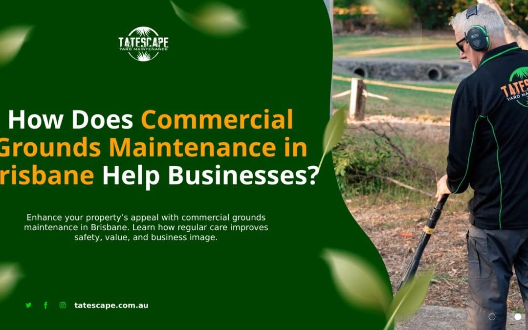 How Does Commercial Grounds Maintenance in Brisbane Help Businesses?