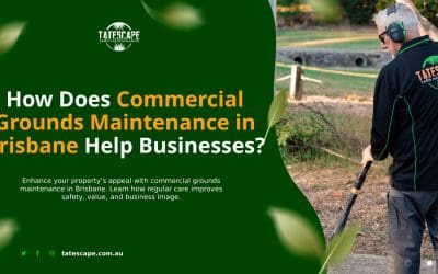 How Does Commercial Grounds Maintenance in Brisbane Help Businesses?