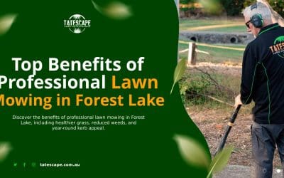 Top Benefits of Professional Lawn Mowing in Forest Lake