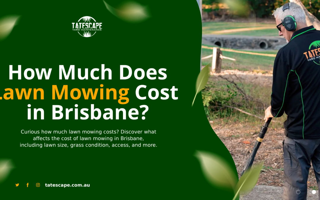 How Much Does Lawn Mowing Cost in Brisbane?