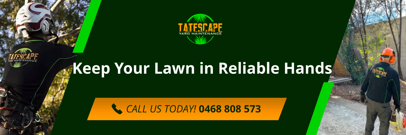 Keep Your Lawn in Reliable Hands Lawn Mowing Services Brisbane