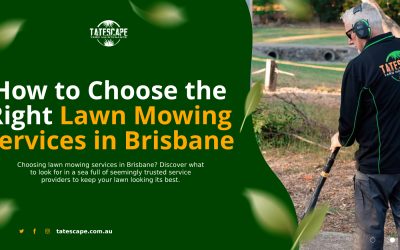 How to Choose the Right Lawn Mowing Services in Brisbane
